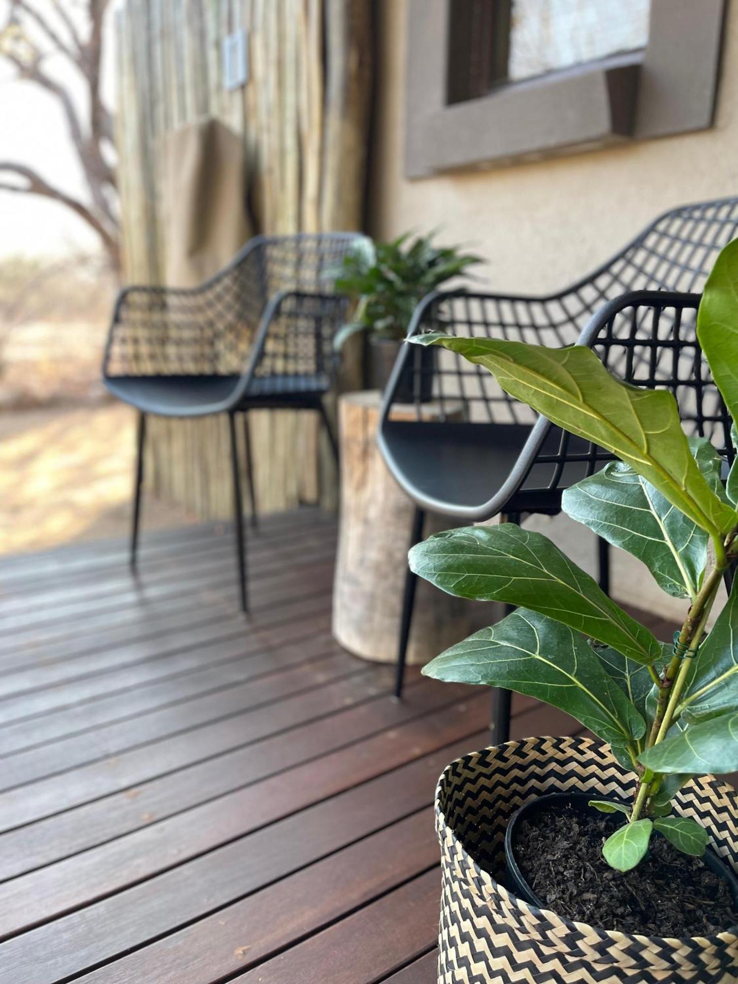 The Baobab Bush Lodge And Villa Hoedspruit Esterno foto