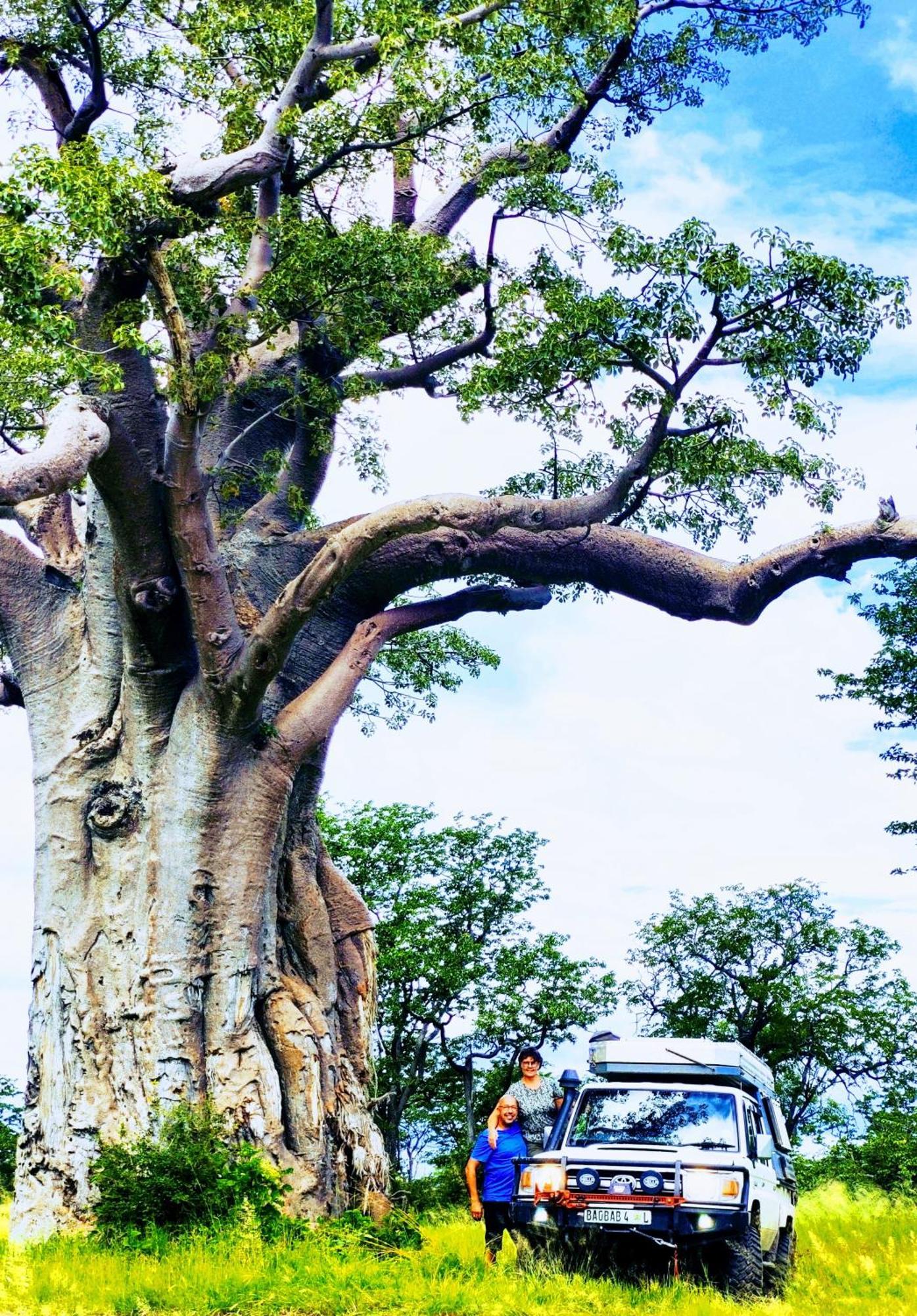 The Baobab Bush Lodge And Villa Hoedspruit Esterno foto